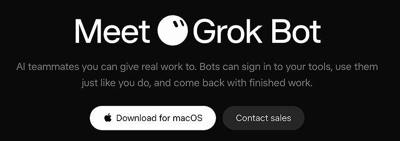 The top of the x.ai/bot page: the heading Meet Grok Bot, one line of description, and two buttons, Download for macOS and Contact sales